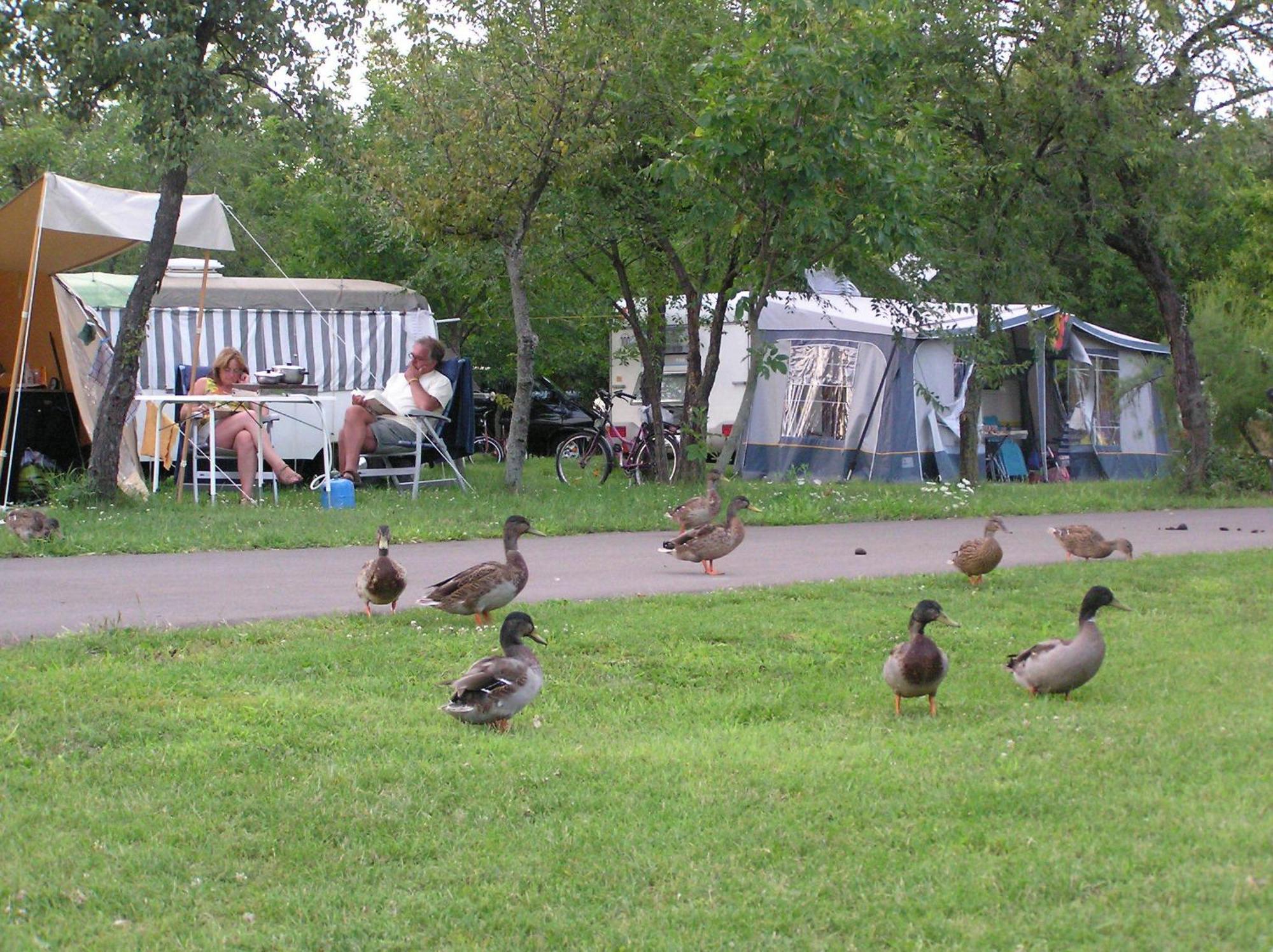 Árnyas Thermal Camping és Üdülőpark Püspökladány Kültér fotó